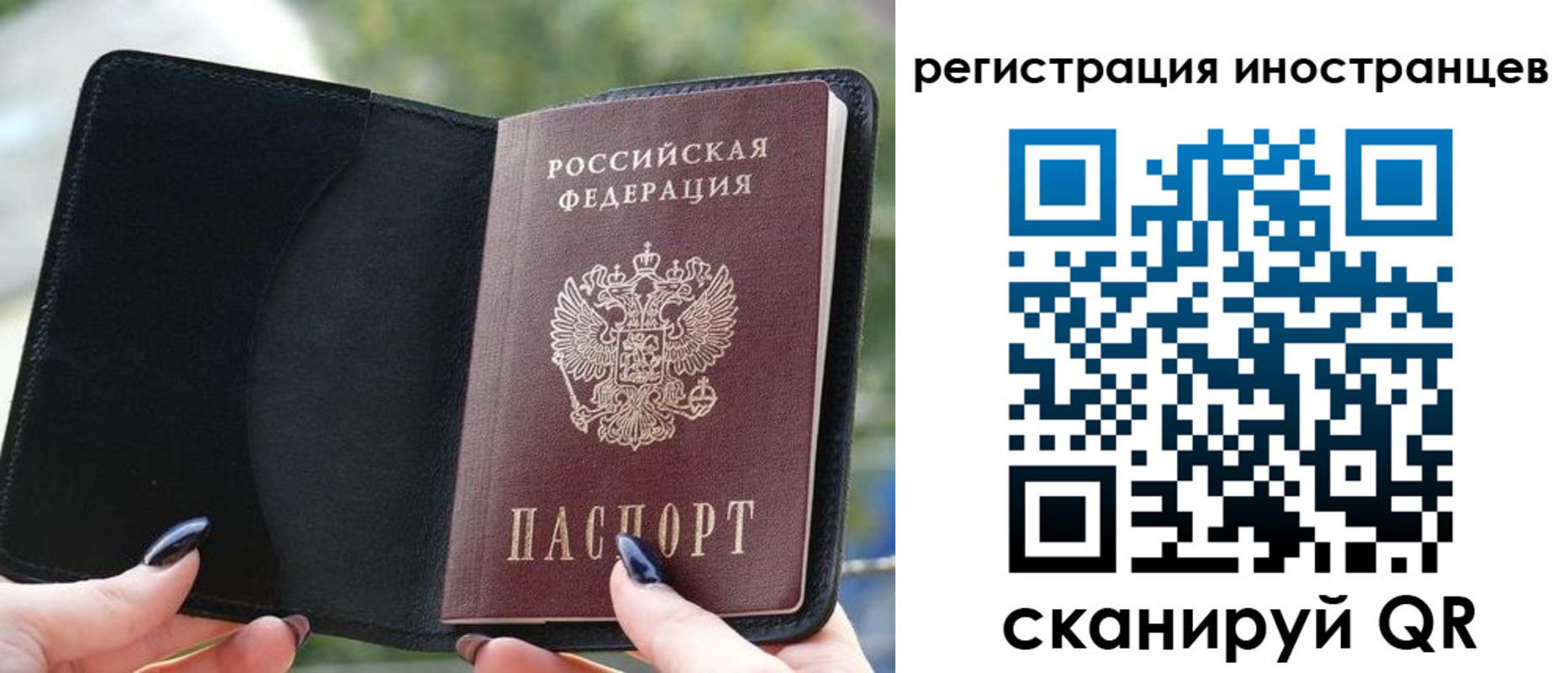 найти адрес прописки в Данкове